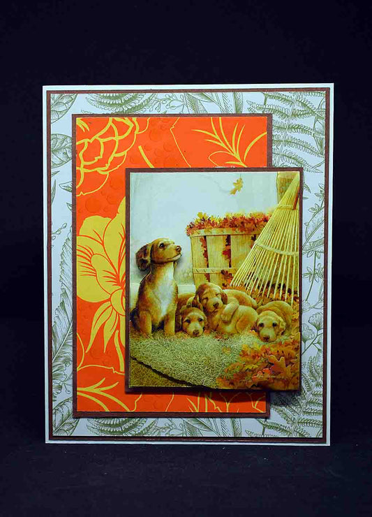 Carte pour anniversaire en 3D aux motifx chiots labradors