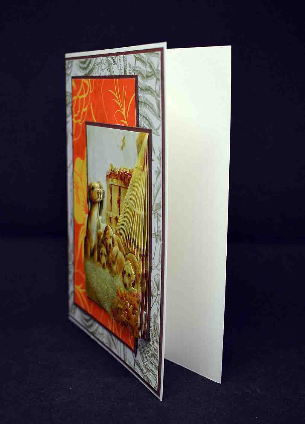 Carte pour anniversaire en 3D aux motifx chiots labradors