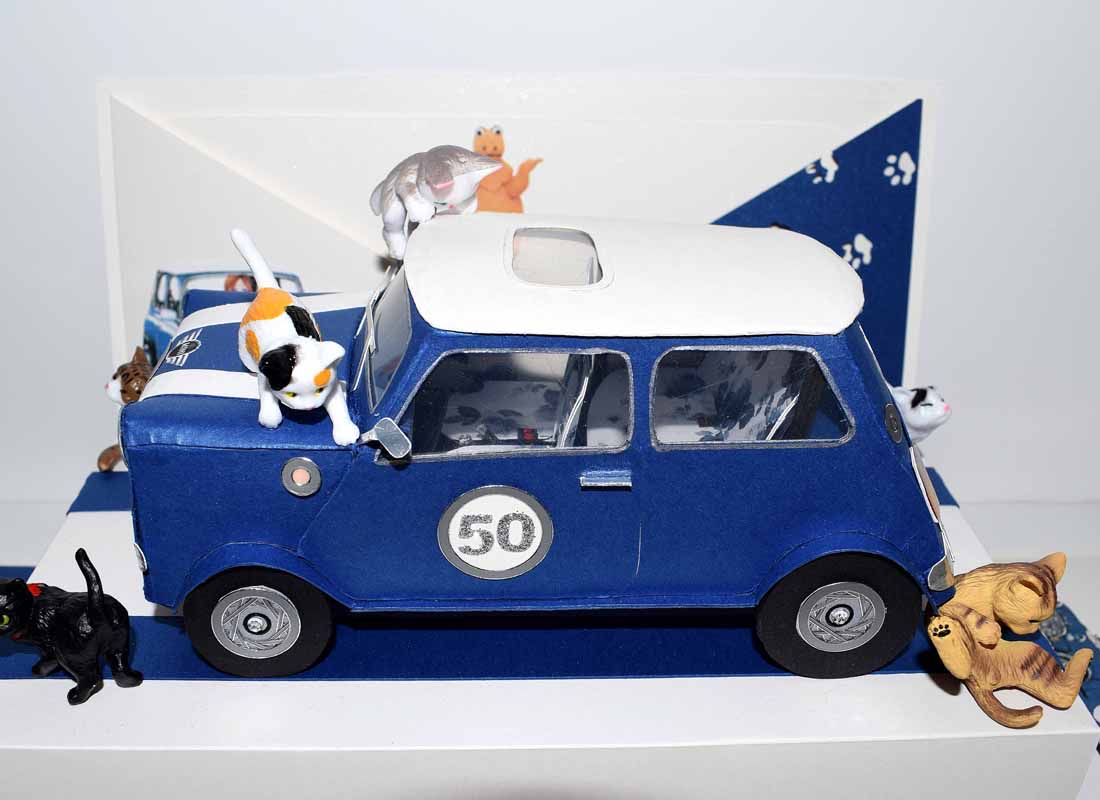 Boite surprise, voiture mini rover cooper, chats et casimir