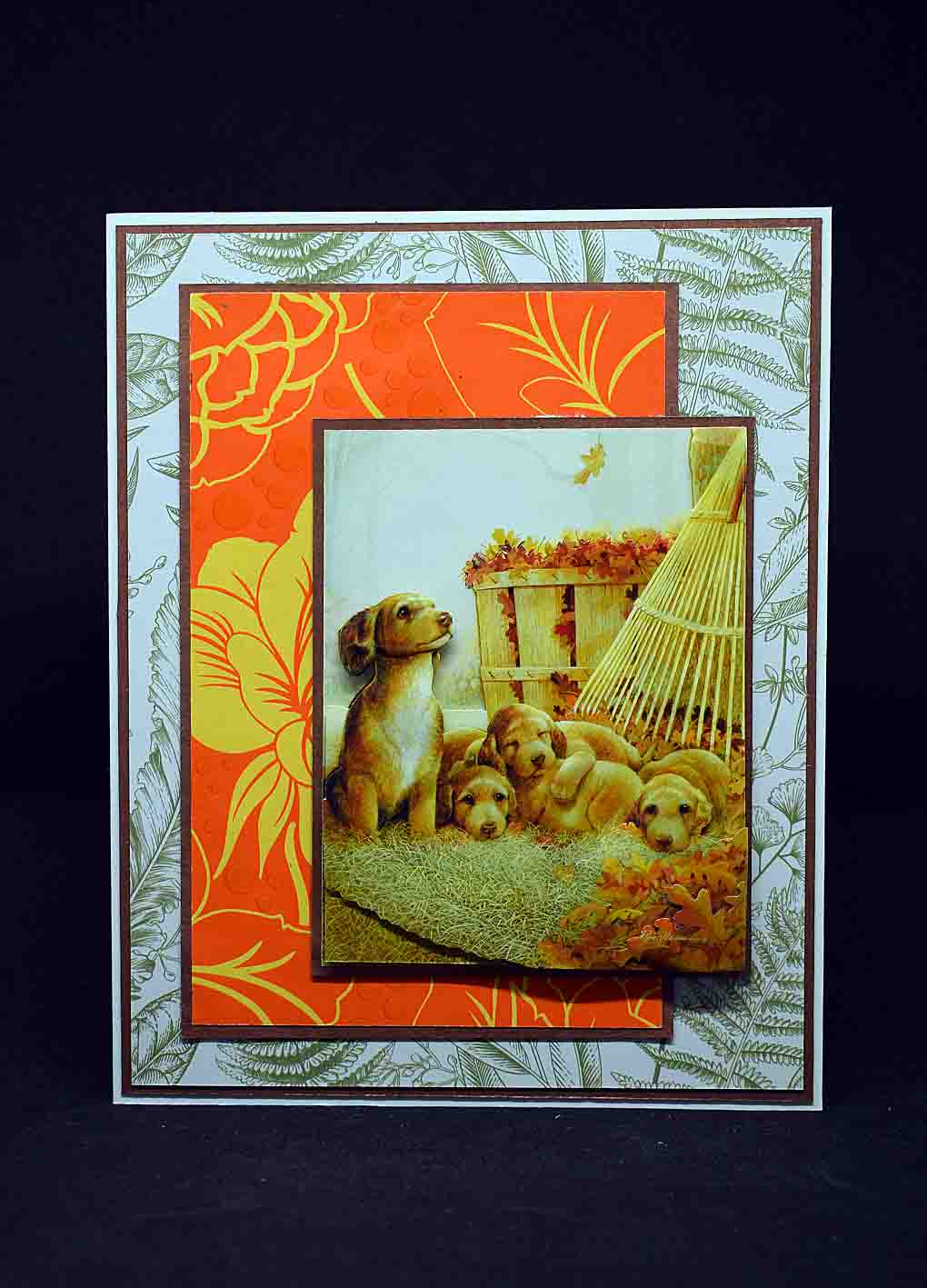 Carte pour anniversaire en 3D  aux motifx chiots labradors