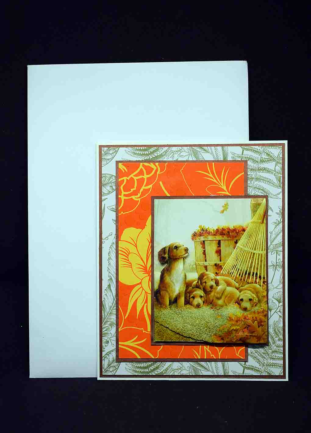 Carte pour anniversaire en 3D  aux motifx chiots labradors