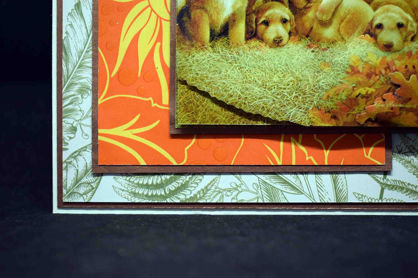 Carte pour anniversaire en 3D  aux motifx chiots labradors