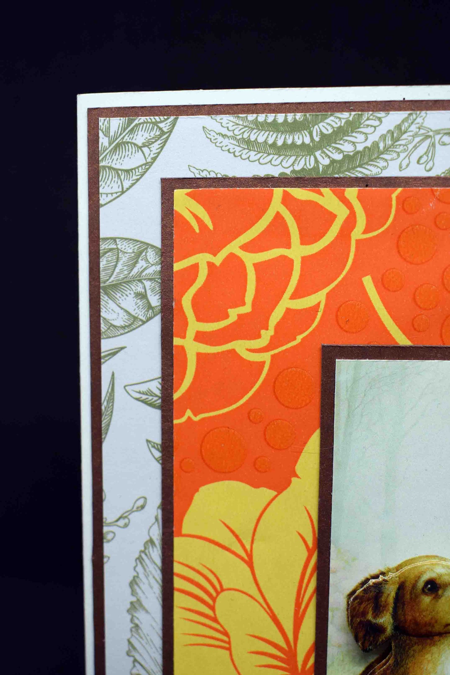 Carte pour anniversaire en 3D  aux motifx chiots labradors