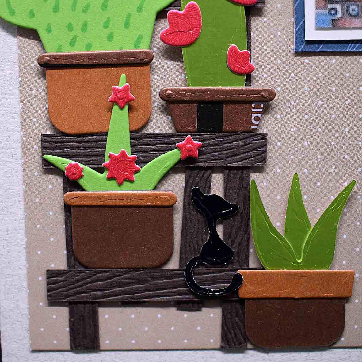 Carte pour anniversaire en 3D  aux motifs chats jouants avec des pantes