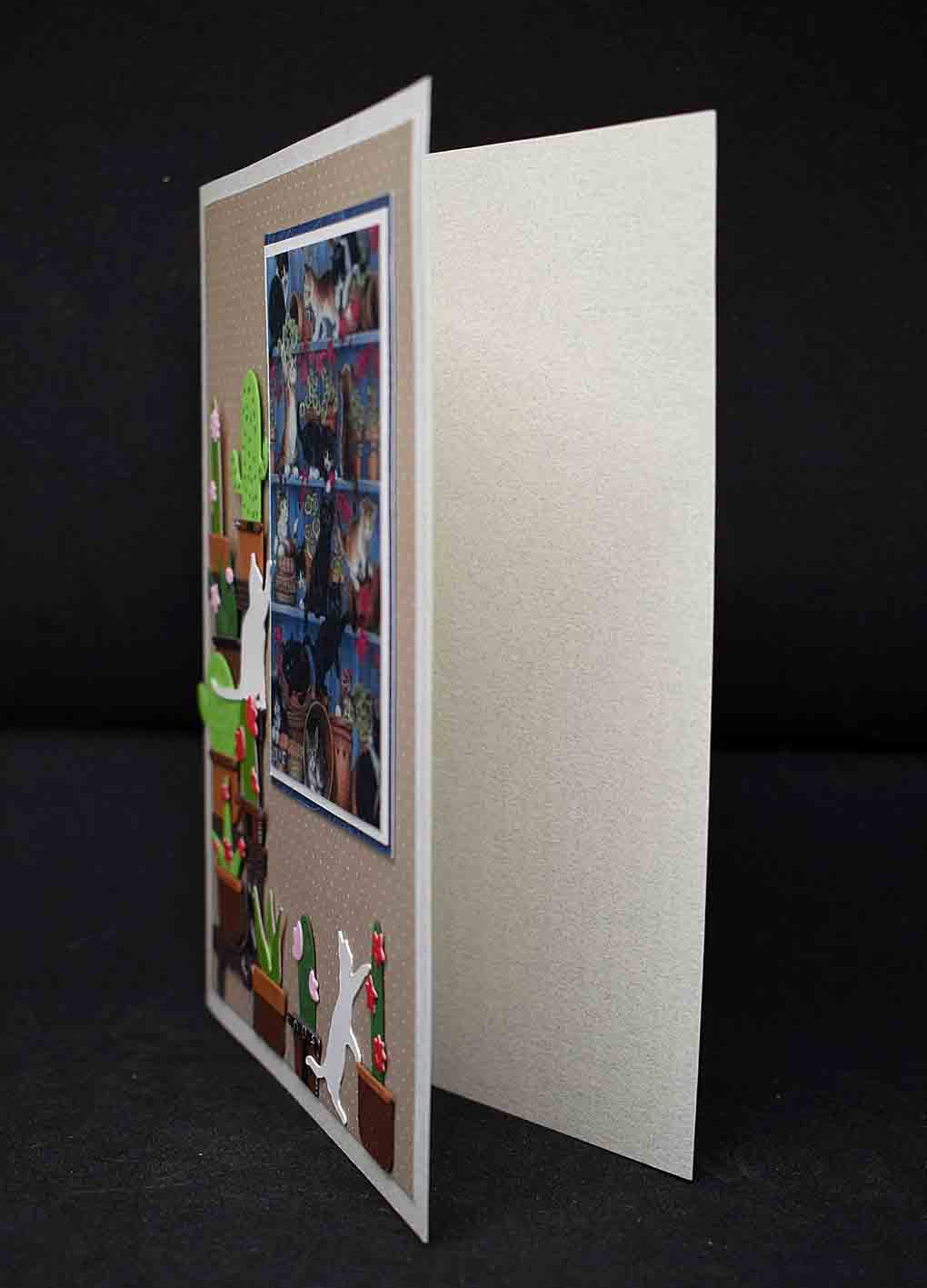 Carte pour anniversaire en 3D  aux motifs chats jouants avec des pantes