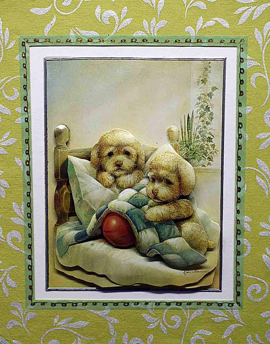 Carte pour anniversaire en 3D  aux motifx chiots caniches