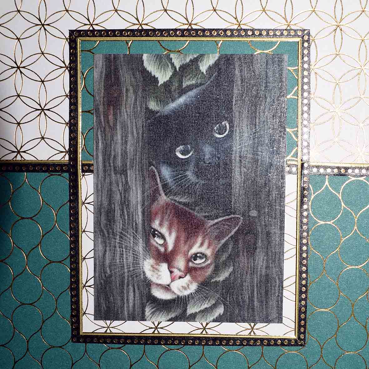 Carte pour anniversaire en 3D  aux motifs chats à la barrière