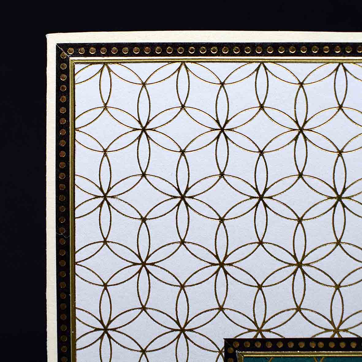 Carte pour anniversaire en 3D  aux motifs chats à la barrière