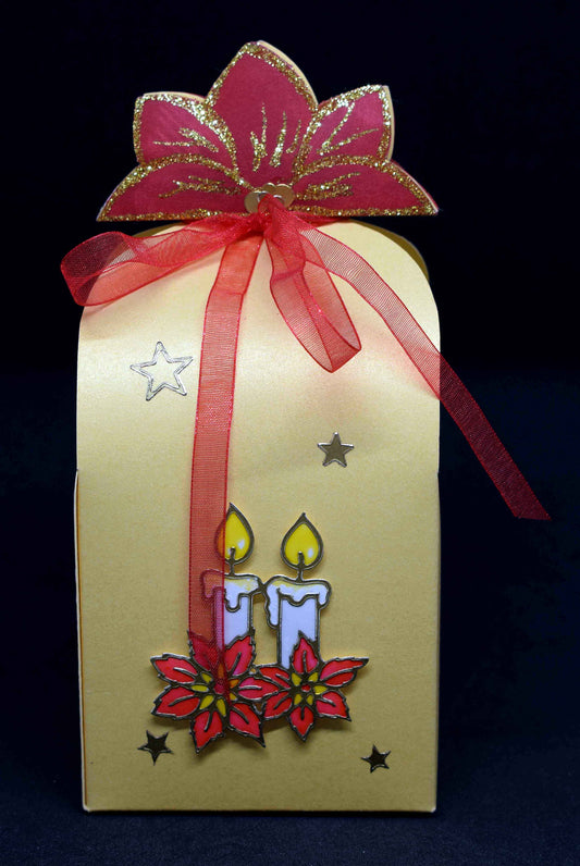 Lanterne surprise de Noël en papier – Carte cadeau originale – Décoration lumineuse poinsettia