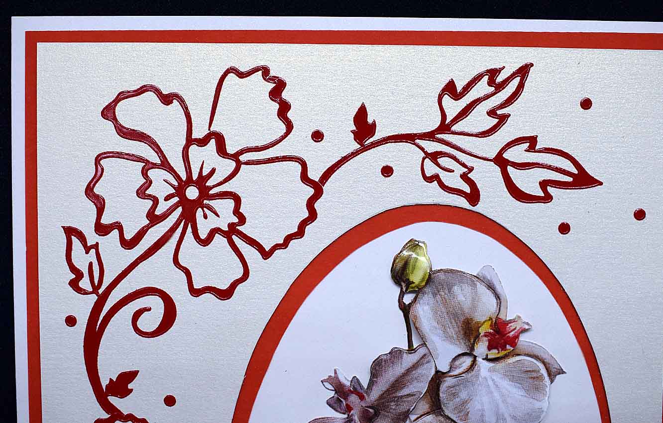 Carte florale pour anniversaire ou tout autres occasions, orchidée en 3D